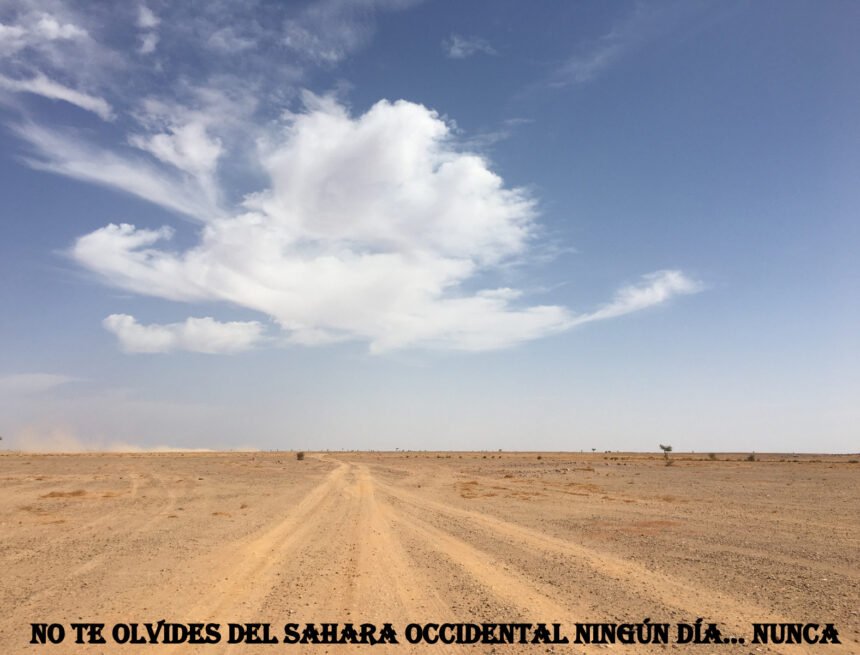 ¡ÚLTIMAS noticias contra el desierto informativo del Sahara Occidental!