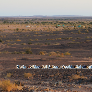 ¡ÚLTIMAS noticias – Sahara Occidental! | 15 de diciembre de 2020