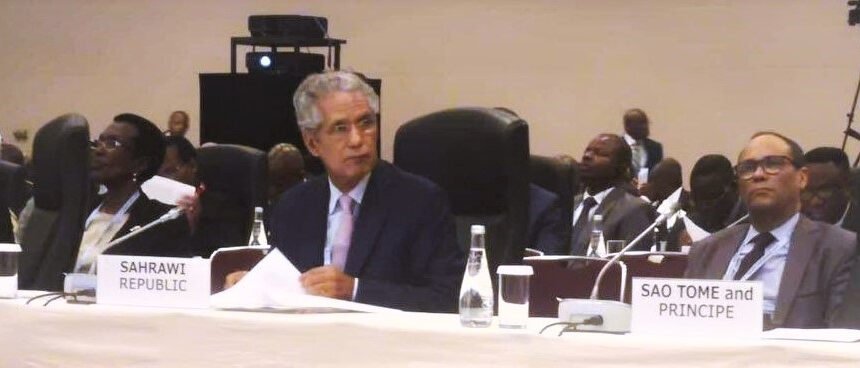 Canciller saharaui participa en la reunión ministerial para la cumbre África-Japón, TICAD 7 | Sahara Press Service