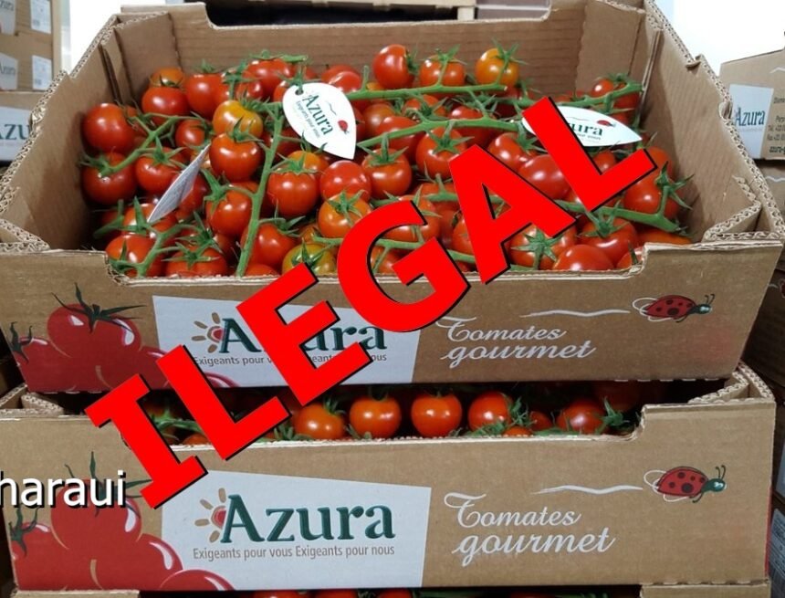 Organizaciones alemanas e irlandesas exigen a «Messe Berlin» boicotear el controvertido productor francés del tomate saharaui AZURA GROUP | ECS
