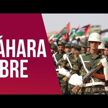 VÍDEO | Alberto Maestre: «El Sáhara está cansado, no se conformará con un alto al fuego y que todo siga igual»