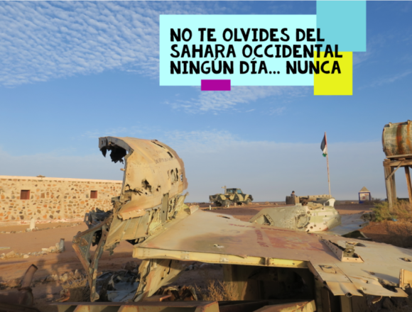 Actualidad Saharaui… Noticias del SAHARA OCCIDENTAL – 30/10/2023