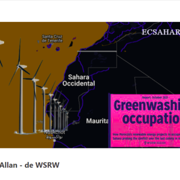 vfdew3245677 Las energías renovables y la guerra actual en el Sáhara Occidental