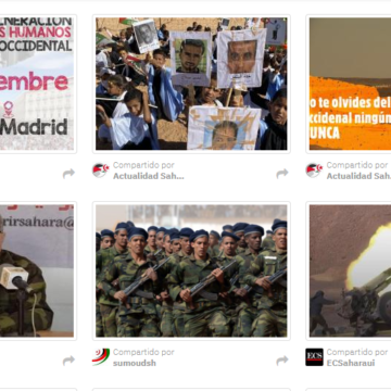 ¡ÚLTIMAS noticias – Sahara Occidental! 12 de noviembre de 2021 ?? ?? ??