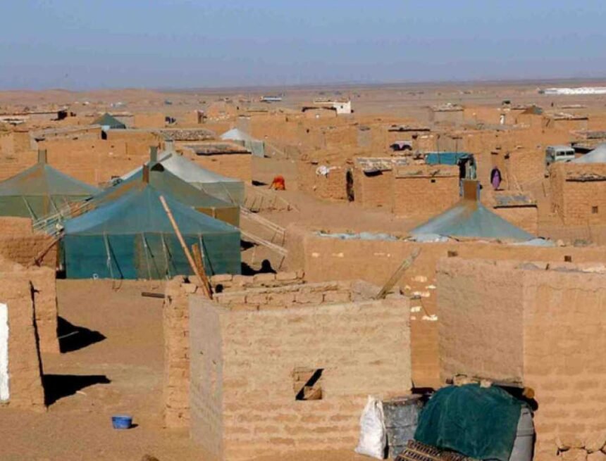 w1600amppreview1566187905464 #DiaAsistenciaHumanitaria pregunta-mos a Laura Rodríguez ¿Cuál es el trabajo de Cruz Roja Española en los campos de refugiados saharauis?