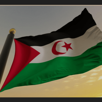 ¡LA ACTUALIDAD SAHARAUI! – 10/8/2023 –NOTICIAS del Sahara Occidental