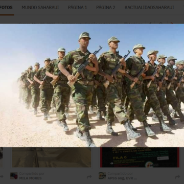 wertyhjukl ¡SAHARA OCCIDENTAL! BOLETÍN de últimas noticias del 20 de mayo de 2022