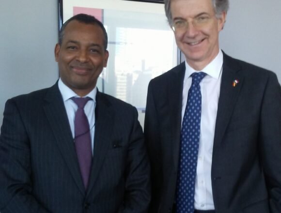 El representante del Frente POLISARIO ante la ONU se reúne con el Presidente del Consejo de Seguridad | Sahara Press Service