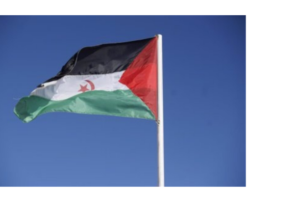 wsxcder4 El Parlamento saharaui condena el crimen del régimen de Rabat contra los inmigrantes africanos | Sahara Press Service