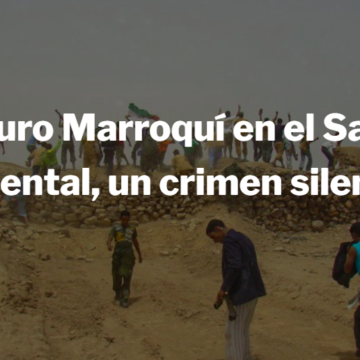 ¡ÚLTIMAS noticias contra el desierto informativo del Sahara Occidental!