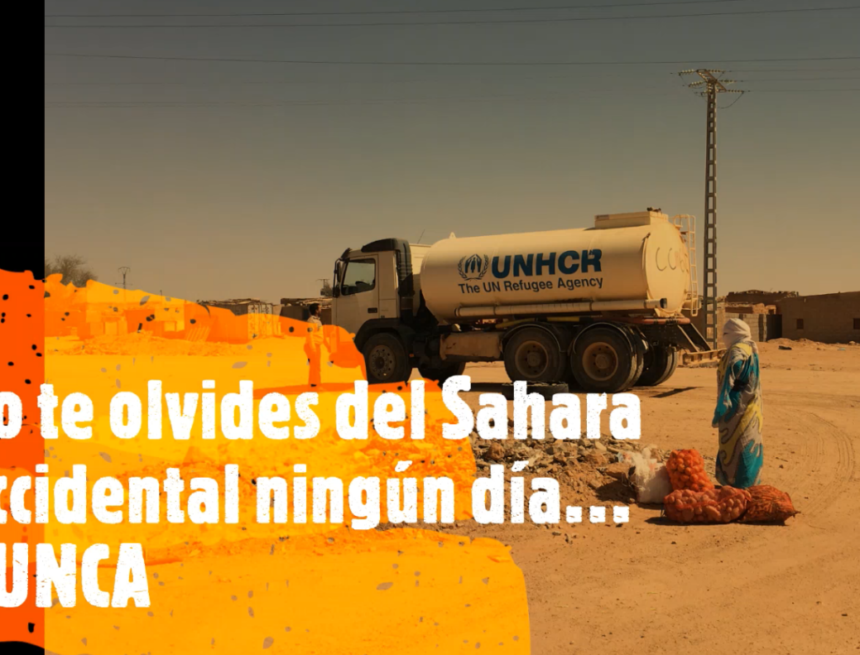 La Actualidad Saharaui: 30 de octubre de 2020 ??