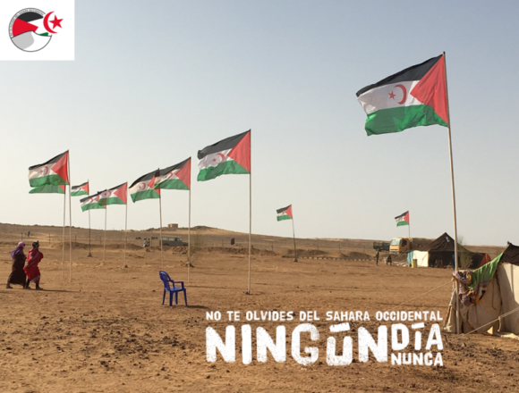 La #ActualidadSaharaui: 8 de octubre de 2021 ?? ?? ??