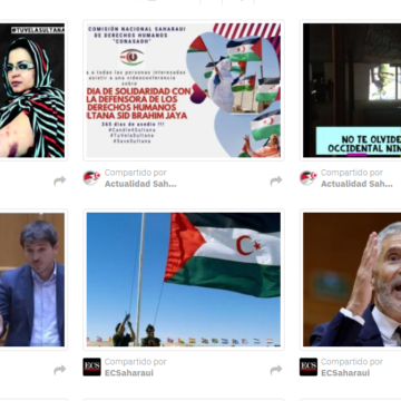 xsw34 ¡ÚLTIMAS noticias – Sahara Occidental! 17 de noviembre de 2021 ?? ?? ??