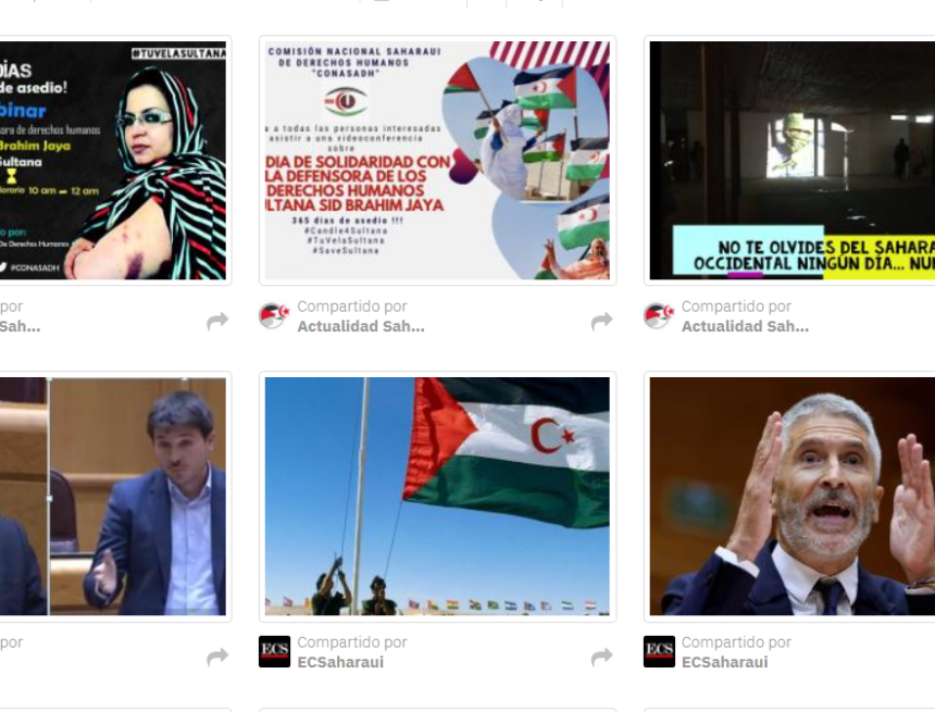 ¡ÚLTIMAS noticias – Sahara Occidental! 17 de noviembre de 2021 ?? ?? ??