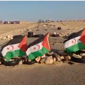 Más noticias del Sahara Occidental | 3 de noviembre de 2020