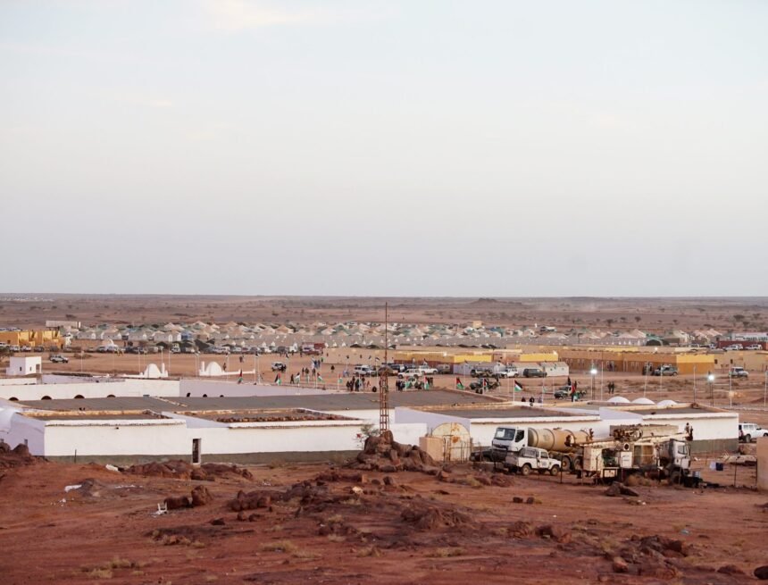 zonas_liberadas_saharauis-scaled Diversas organizaciones celebran determinación del Gobierno saharaui en la reconstrucción y repoblación de las zonas liberadas de la RASD | Sahara Press Service