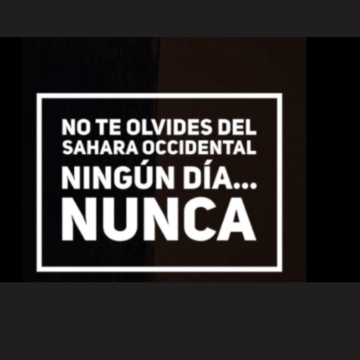 ¡LA ACTUALIDAD SAHARAUI! – 24/6/2023 – ÚLTIMAS NOTICIAS del Sahara Occidental