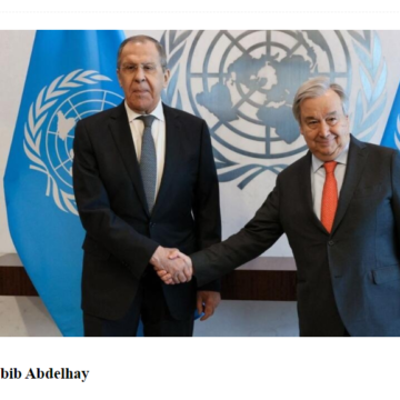 Rusia veta en el Consejo de Seguridad una resolución sobre el Sáhara Occidental, y exige cambios en el borrador