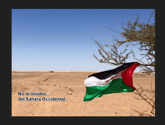 Brahim Ghali se reunirá con Guterres, Secretario General de ONU, el próximo lunes en la sede de Naciones Unidas de Nueva York