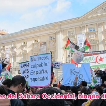 Noticias del SAHARA OCCIDENTAL – 10/11/2023 – La Actualidad Saharaui