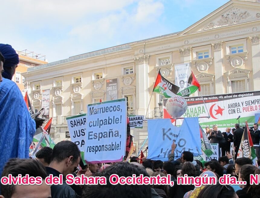 Noticias del SAHARA OCCIDENTAL – 10/11/2023 – La Actualidad Saharaui