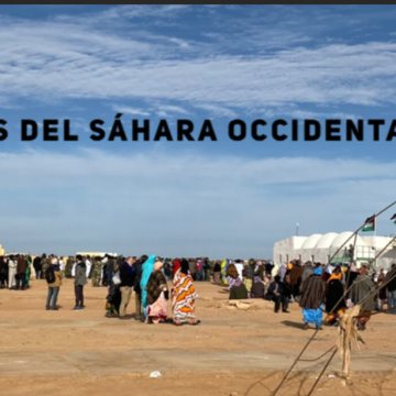 Noticias del SAHARA OCCIDENTAL – 24/11/2023 – La Actualidad Saharaui