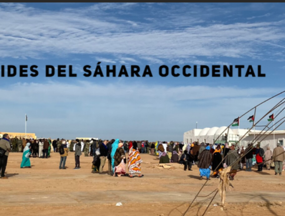 Noticias del SAHARA OCCIDENTAL – 29/11/2023 – La Actualidad Saharaui