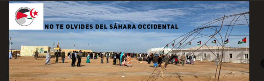 Noticias del SAHARA OCCIDENTAL – 24/11/2023 – La Actualidad Saharaui