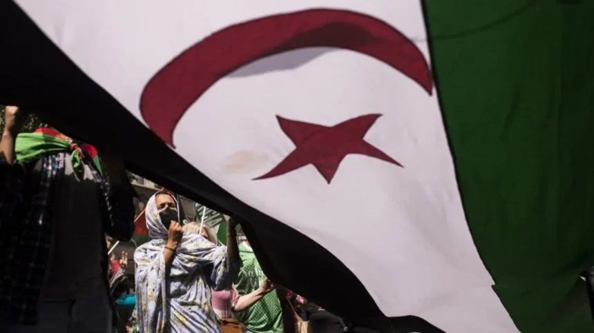 ¿Por qué es importante la manifestación del 11 de noviembre en Madrid a favor del Sáhara? – Público