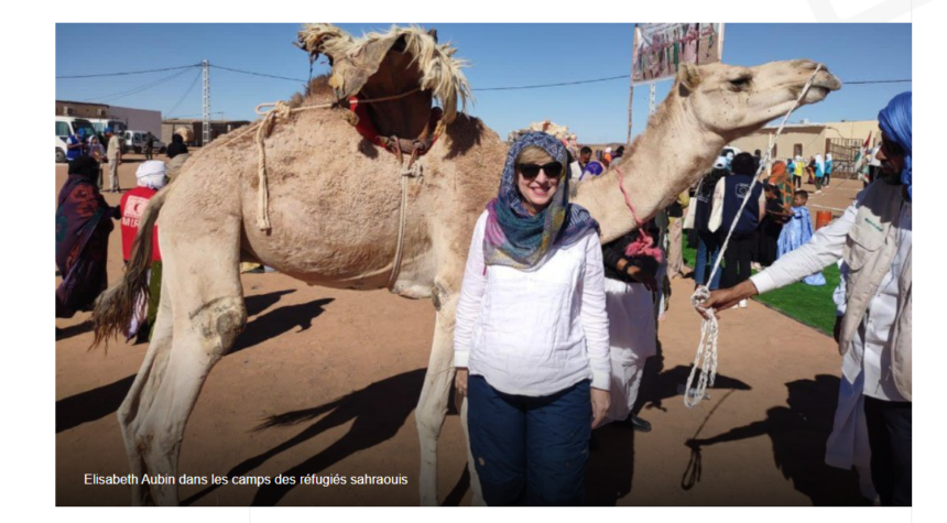 L’ambassadeur américaine en Algérie est attaquée par le régime marocain à cause de sa visite à Tindouf: Le Makhzen s’affole – L’Expression: Nationale