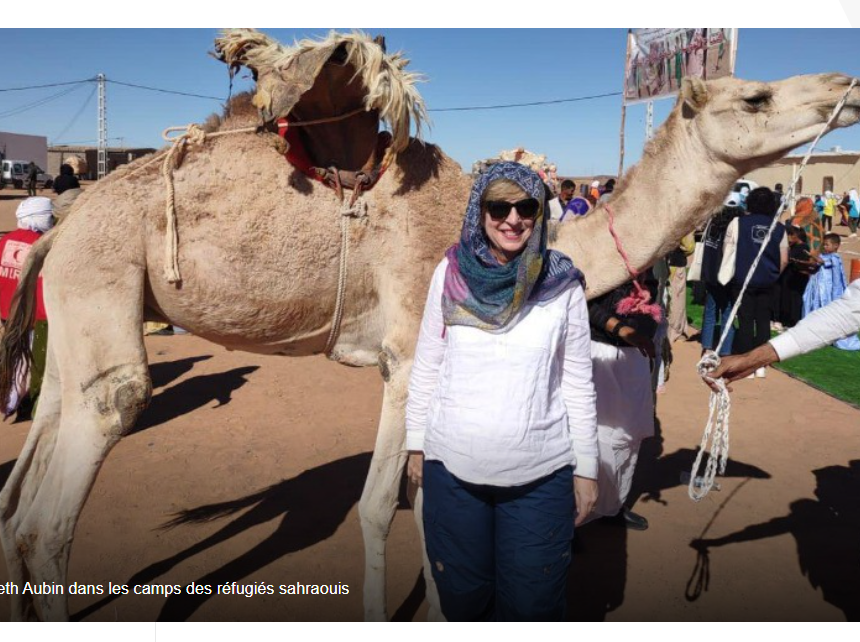 L’ambassadeur américaine en Algérie est attaquée par le régime marocain à cause de sa visite à Tindouf: Le Makhzen s’affole – L’Expression: Nationale