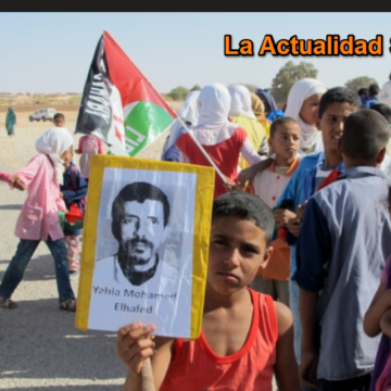 Noticias del SAHARA OCCIDENTAL – 7/12/2023 – La Actualidad Saharaui