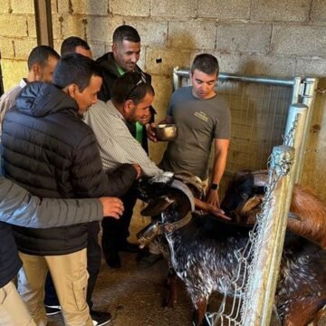 Pastores saharauis para luchar contra el abandono rural en España