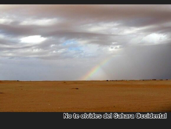 Noticias del SAHARA OCCIDENTAL – 13/12/2023 – La Actualidad Saharaui