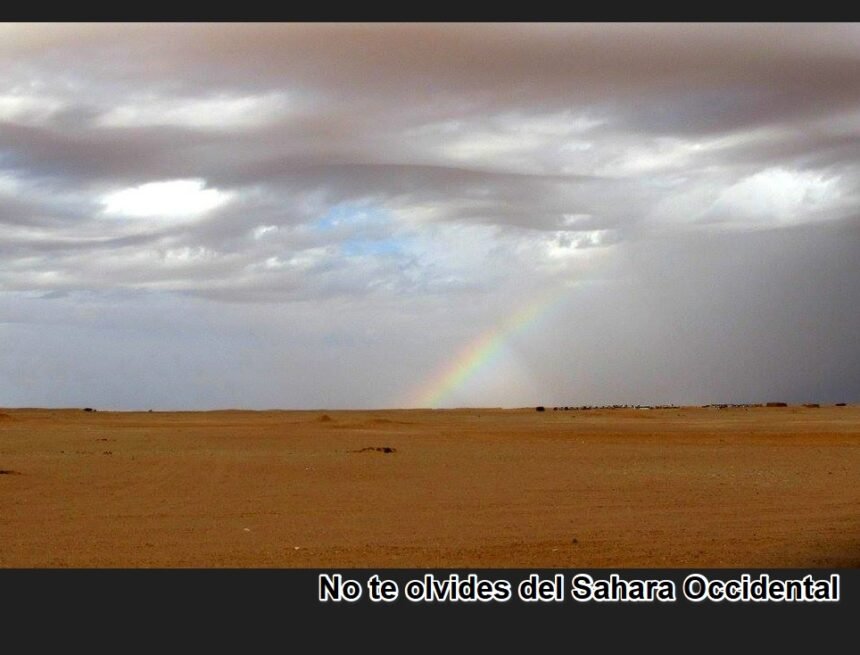 Noticias del SAHARA OCCIDENTAL – 13/12/2023 – La Actualidad Saharaui