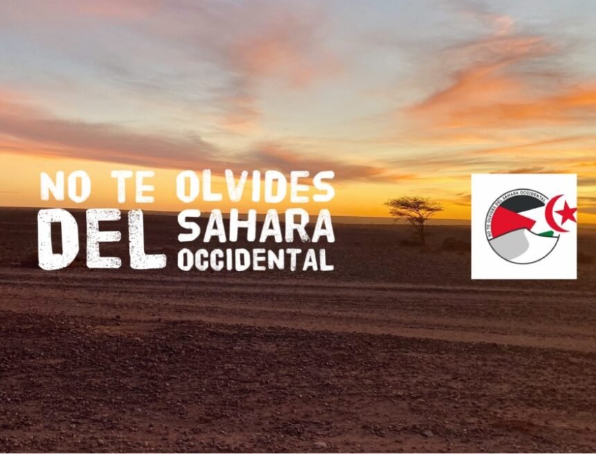 Noticias del SAHARA OCCIDENTAL – 28/12/2023 – La Actualidad Saharaui