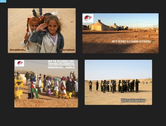 324419824_713785883714911_53440915310683067_n Noticias del SAHARA OCCIDENTAL – 23/12/2023 – La Actualidad Saharaui