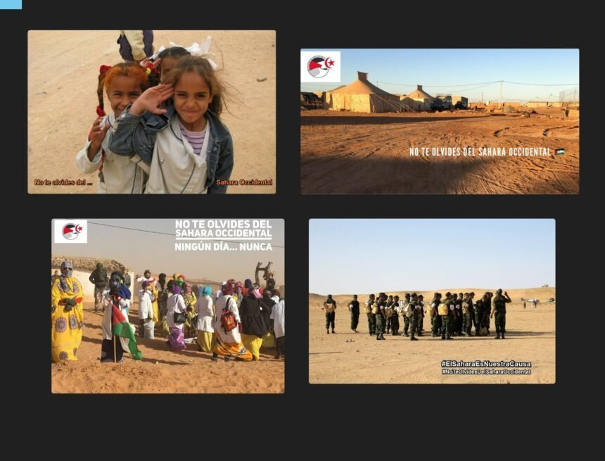 Noticias del SAHARA OCCIDENTAL – 23/12/2023 – La Actualidad Saharaui