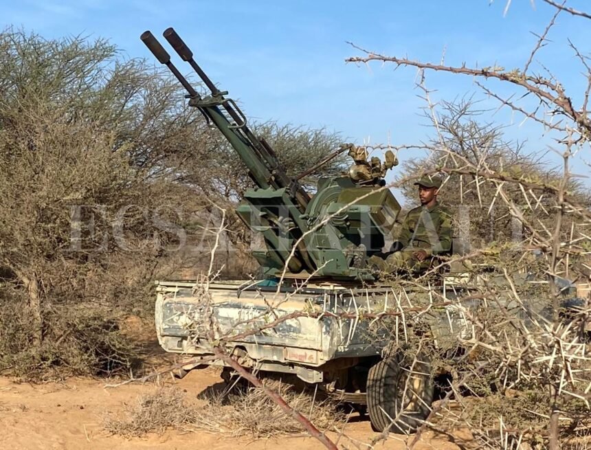 GUERRA EN EL SAHARA | La artillería saharaui bombardea bases militares marroquíes | Sahara Press Service (SPS)