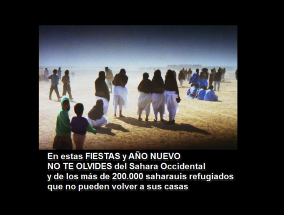 Noticias del SAHARA OCCIDENTAL – 30/12/2023 – La Actualidad Saharaui