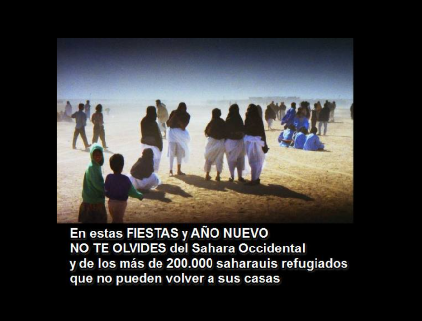 Noticias del SAHARA OCCIDENTAL – 22/12/2023 – La Actualidad Saharaui