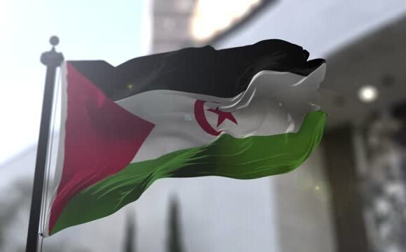 istockphoto-1365226026-640x640-1 ¿Está sentando Washington las bases para un cambio estratégico en el conflicto del Sáhara Occidental?