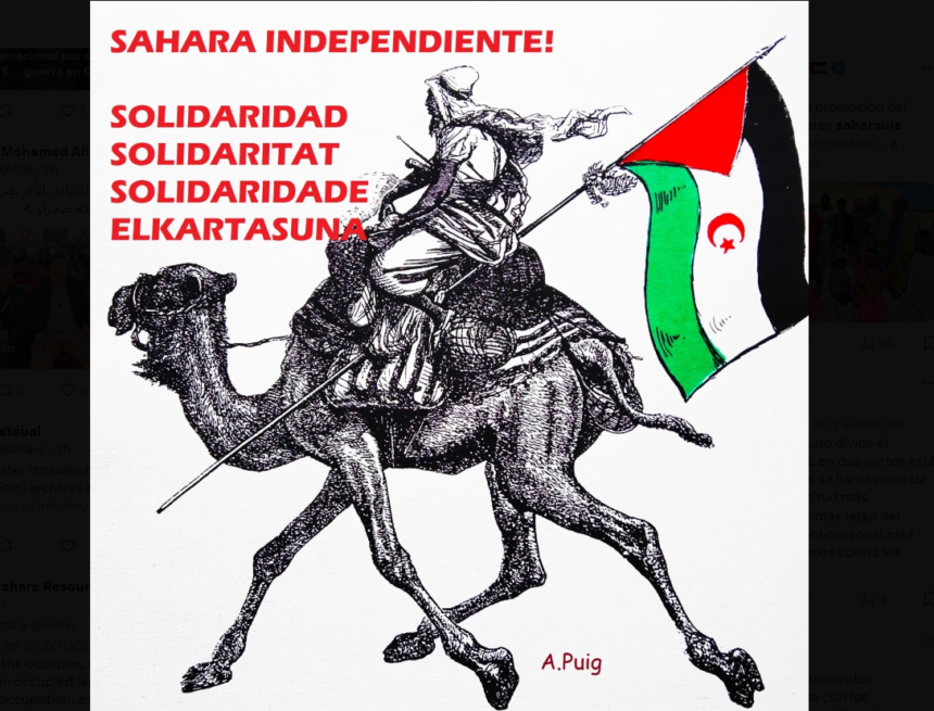 Noticias del SAHARA OCCIDENTAL – 10/12/2023 – La Actualidad Saharaui