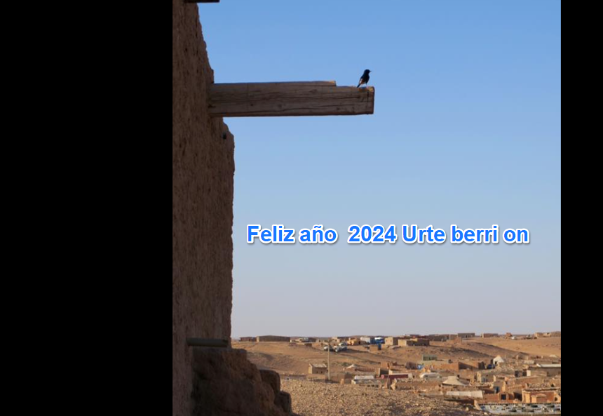 Noticias del SAHARA OCCIDENTAL – 31/12/2023 – La Actualidad Saharaui