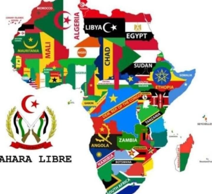 M. Liman Mohamed Ali: TRAS SIETE AÑOS DE LA ADHESIÓN DE MARRUECOS A LA UNIÓN AFRICANA, EL BALANCE NO ES NADA HALAGÜEÑO Y SE HA CONVERTIDO EN UN AUTÉNTICO ESPERPENTO | Sahara Press Service (SPS)