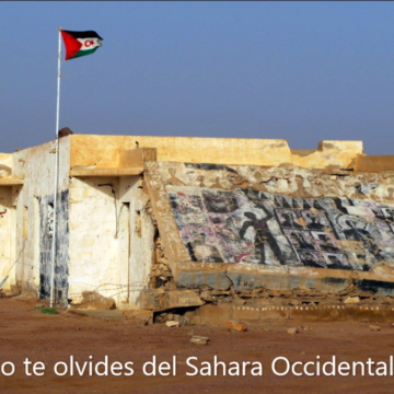 Noticias del SAHARA OCCIDENTAL – 22/1/2024 – La Actualidad Saharaui