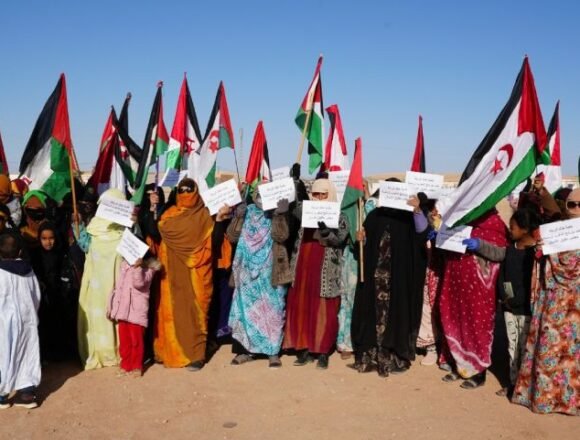 Sahara-9 La sociedad civil saharaui alerta sobre la inconveniencia de que Marruecos presida el Consejo de Derechos Humanos de la ONU mientras ocupe el Sahara Occidental | NR | Periodismo alternativo