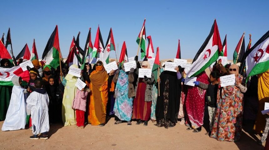 La sociedad civil saharaui alerta sobre la inconveniencia de que Marruecos presida el Consejo de Derechos Humanos de la ONU mientras ocupe el Sahara Occidental | NR | Periodismo alternativo