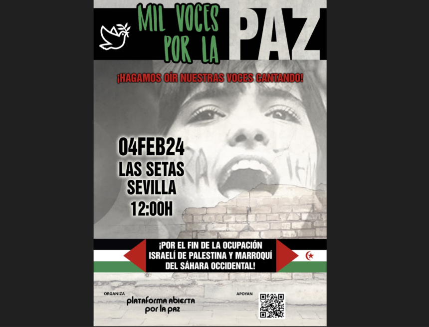 Noticias del SAHARA OCCIDENTAL – 17/1/2024 – La Actualidad Saharaui