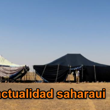 Noticias del SAHARA OCCIDENTAL – 14/1/2024 – La Actualidad Saharaui